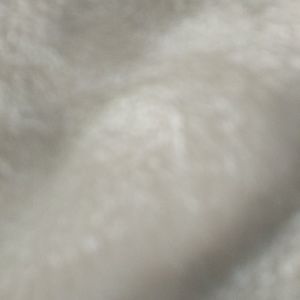 Meet your Posher, Lindsay